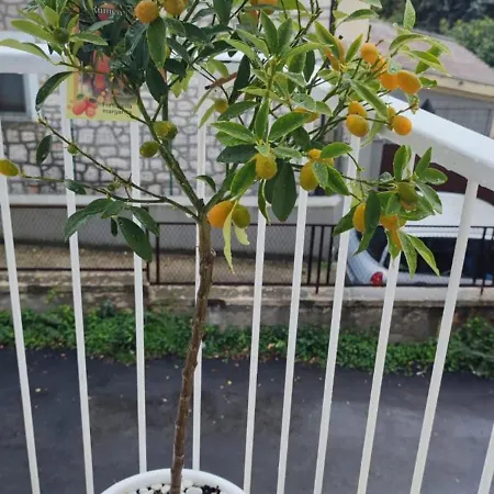 Apartamento Casa Persefone *