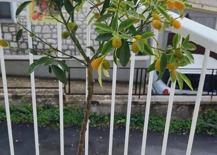 Διαμέρισμα Casa Persefone *